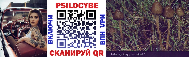 Купить  Сусуман  Галлюциногенные грибы GOLDEN TEACHER 